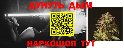 Альфа ПВП Малгобек