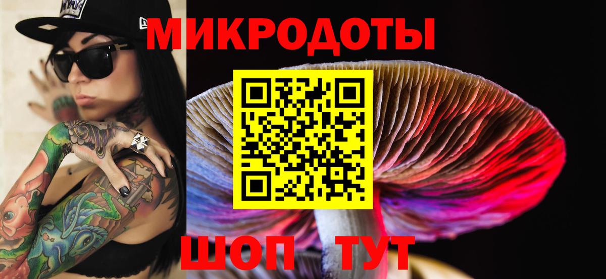 Псилоцибиновые грибы мухоморы Сертолово