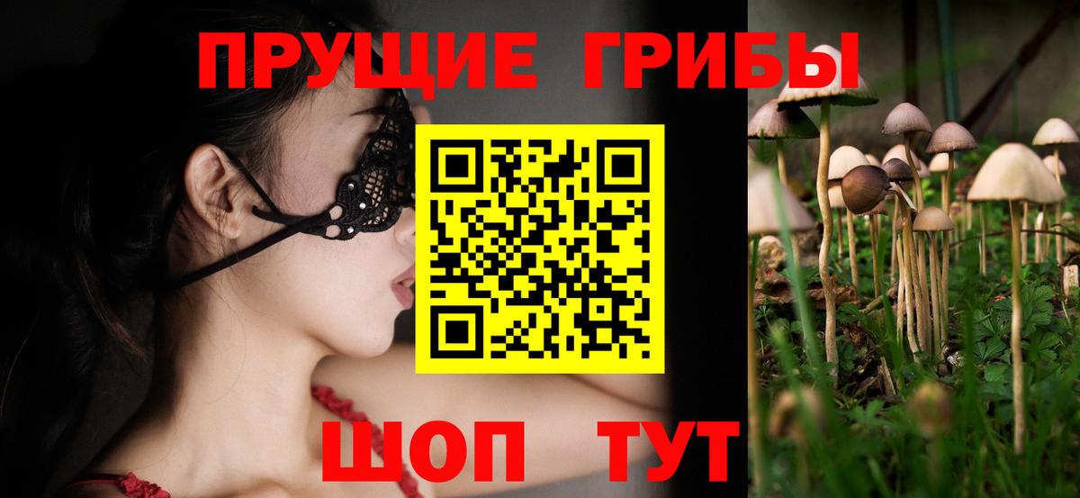Сертолово  Галлюциногенные грибы MAGIC MUSHROOMS  купить наркоту  Вход с VPN 